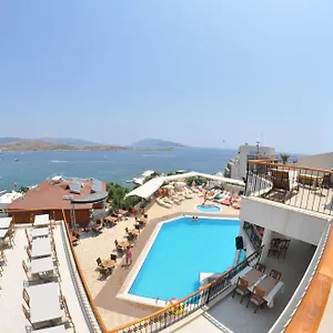 book here