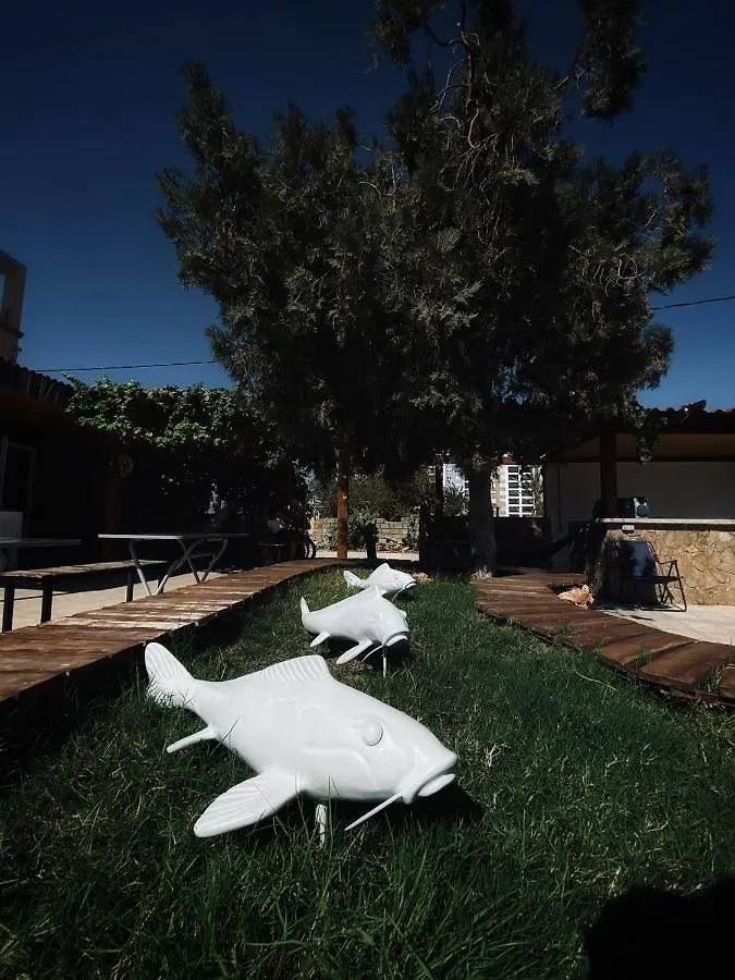 Auberge de jeunesse Camp&Hostel Antalya